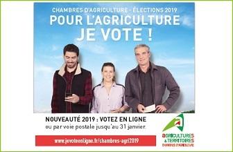 affiche-elections-CA-2019 336 x 220
