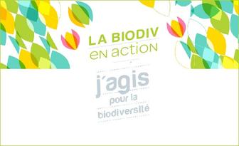 Biodiversité - Des projets de la régions labellisés « J'agis pour la biodiversité »