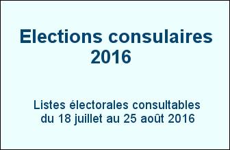 Élections consulaires 2016 - Consultation des listes électorales
