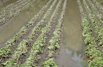 Intempéries - L'Etat mobilisé aux côtés des agriculteurs et des entreprises victimes des récentes inondations