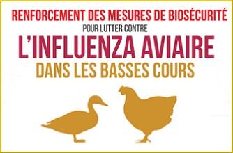 Protection des élevages - Influenza aviaire hautement pathogène H5N8 dans des pays voisins de la France