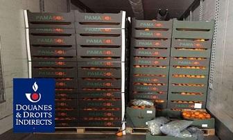 Douane de Lille - 21 tonnes d’oranges données à la Banque alimentaire
