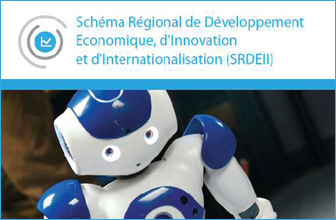 Economie - Approbation du schéma régional de développement économique, d'innovation et d'internationalisation (SRDEII)