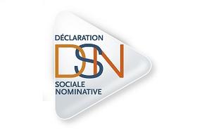 25 juillet 2014 : la déclaration sociale nominative (DSN), une simplification pour les entreprises