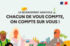 27 000 exploitations des Hauts-de-France recensées pour dresser le portrait de l’agriculture