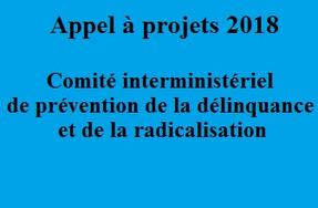 Appel à projets 2018 - Comité interministériel de prévention de la délinquance et de la radicalisation