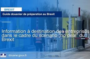 Brexit - Guide douanier à destination des entreprises dans le cadre du scénario « no deal »