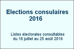 Élections consulaires 2016 - Consultation des listes électorales