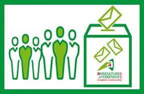 Élections des chambres d'agriculture : révision des listes électorales