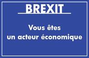 Brexit - Vous êtes un acteur économique