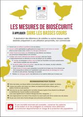 Influenza aviaire - Les mesures de biosécurité à appliquer dans les basses cours