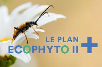 Adoption de la feuille de route régionale pour la mise en œuvre du plan national Ecophyto 2+ en Hauts-de-France