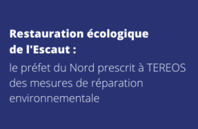 Restauration écologique de l’Escaut : Le préfet du Nord prescrit à Tereos